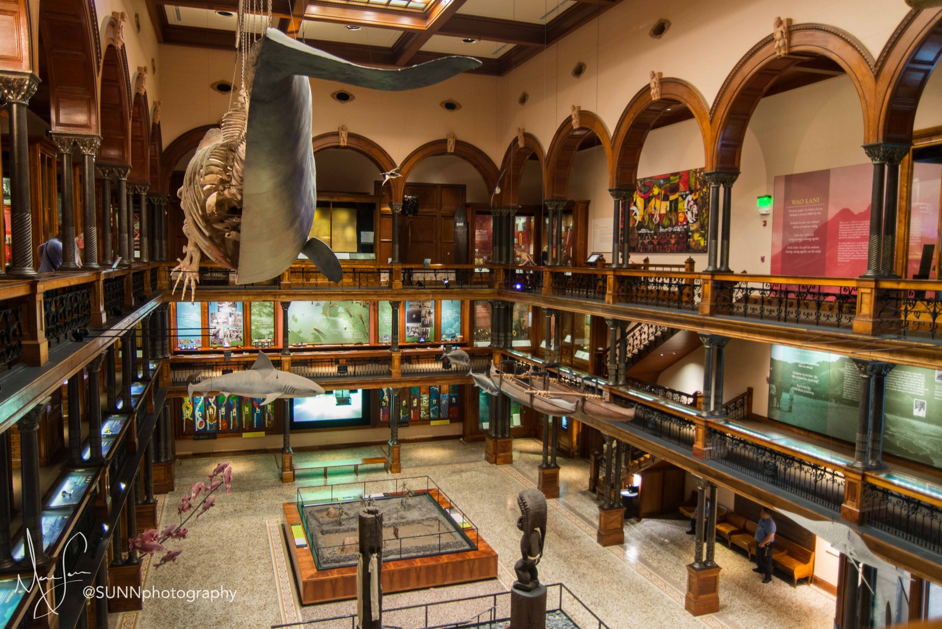 Bishop Museum inside view