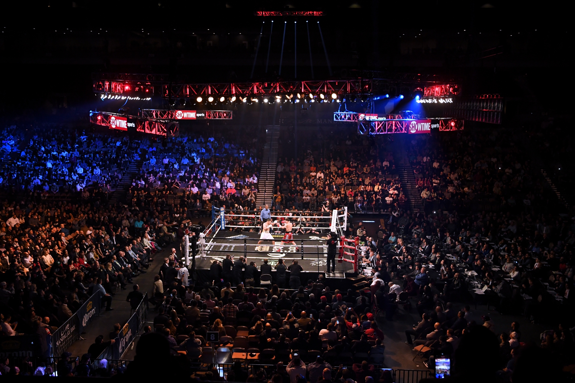 Experience Live Sport boxing in Las Vegas