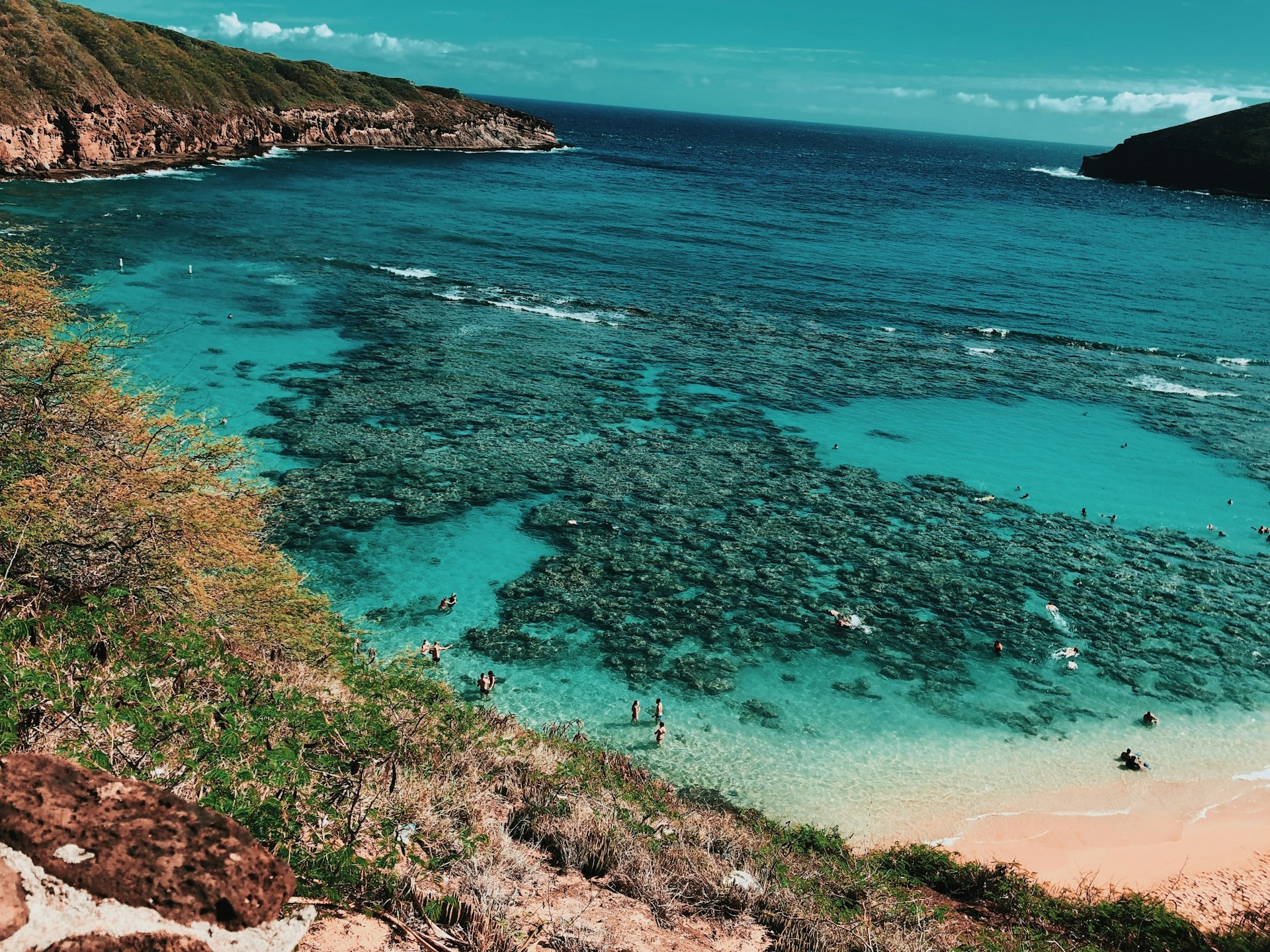 Hanauma Bay snorkelling in gorgeous clear waters