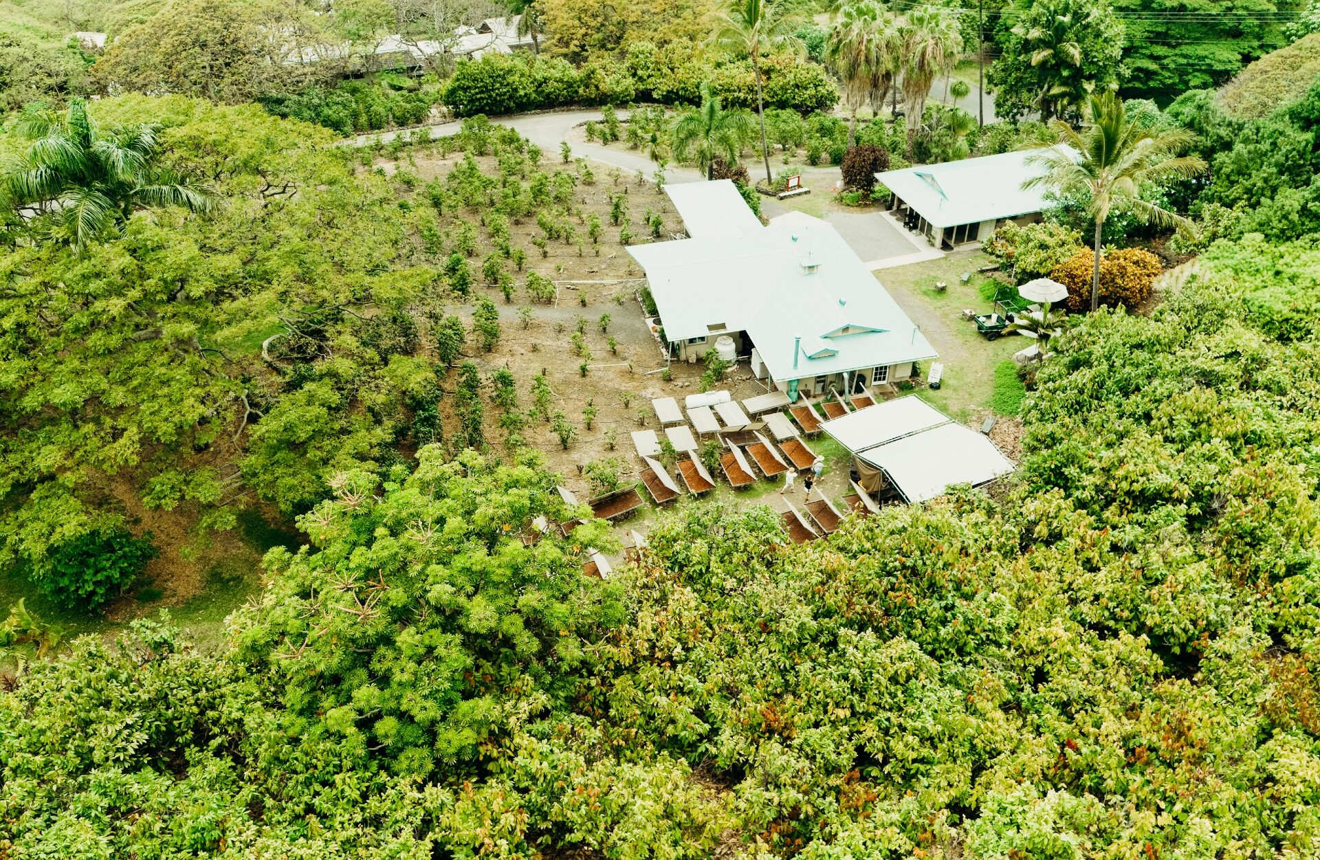 Aerial view of the Kona Coffee Living History Farm