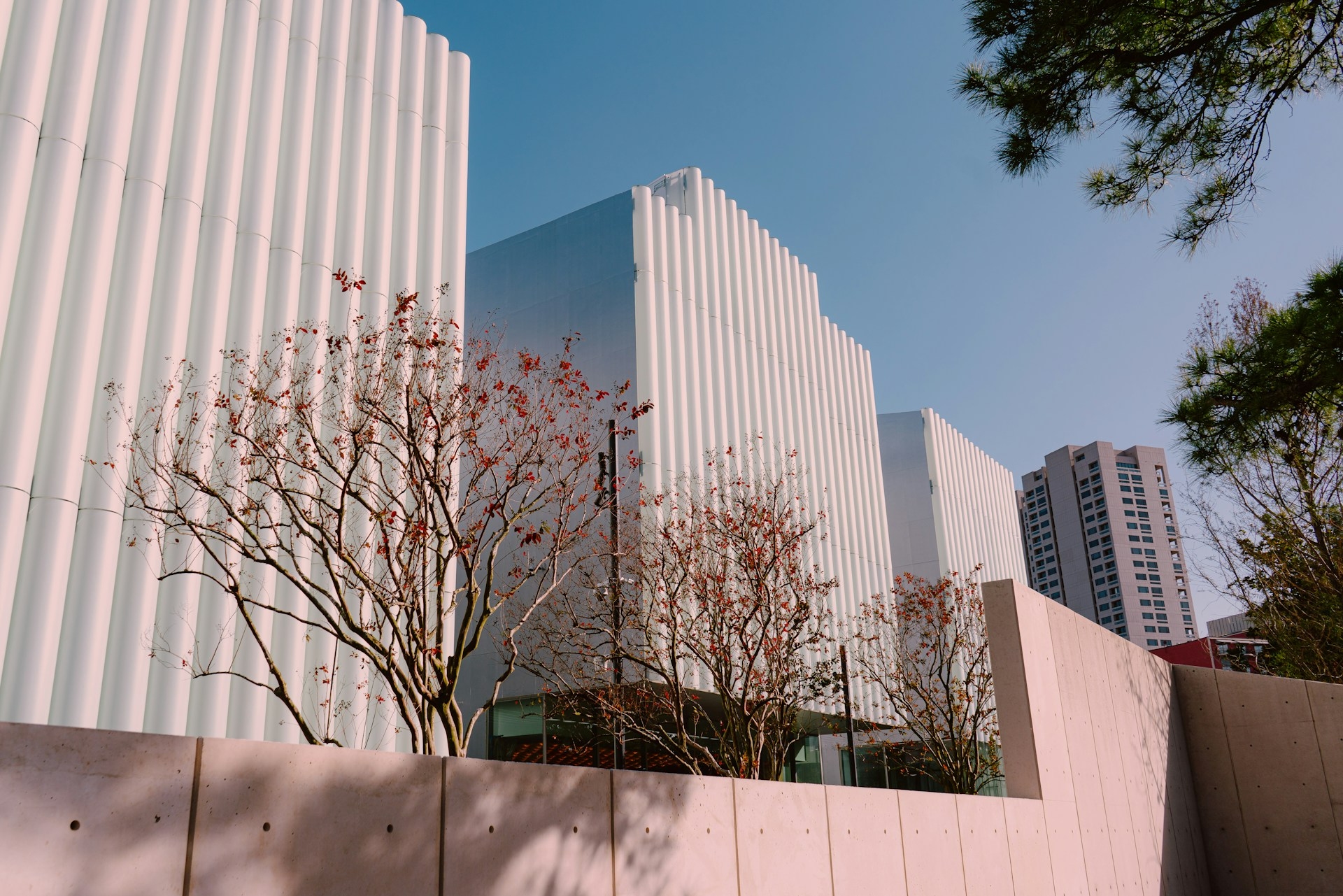 Museum of Fine Arts Houston outside view