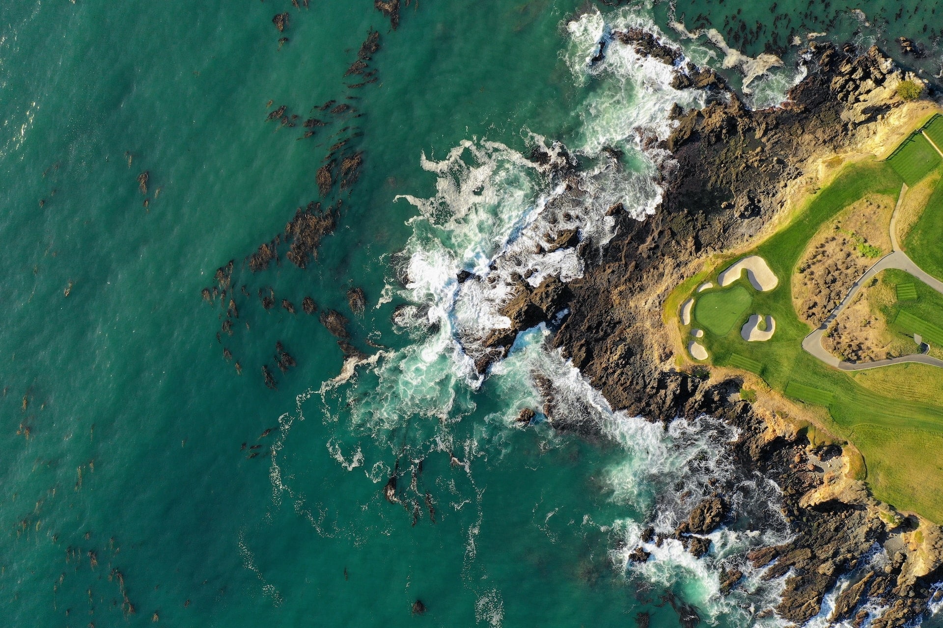 Overlooking the green at Pebble Beach