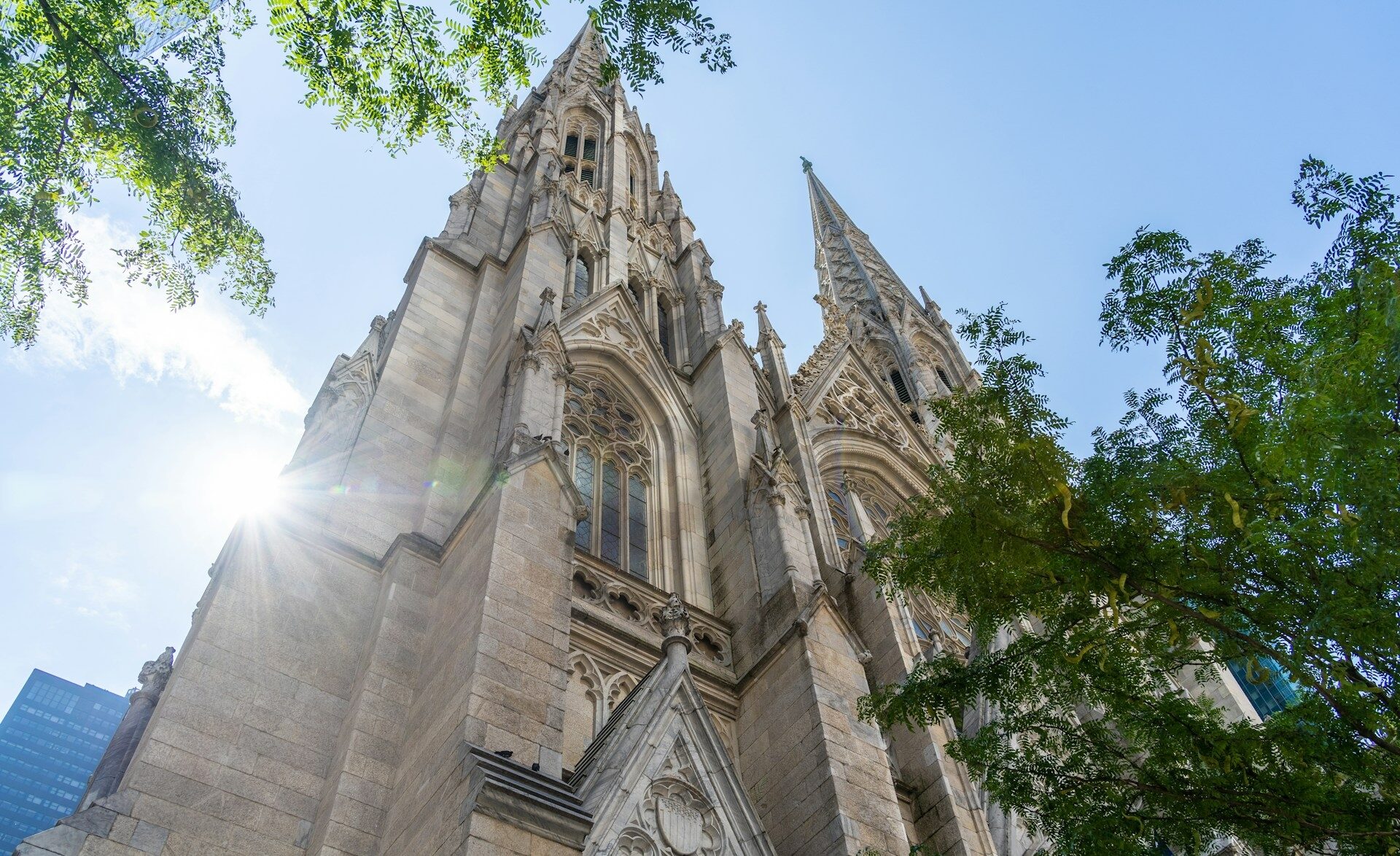 St Patricks Cathedral looking up on a sunny day
