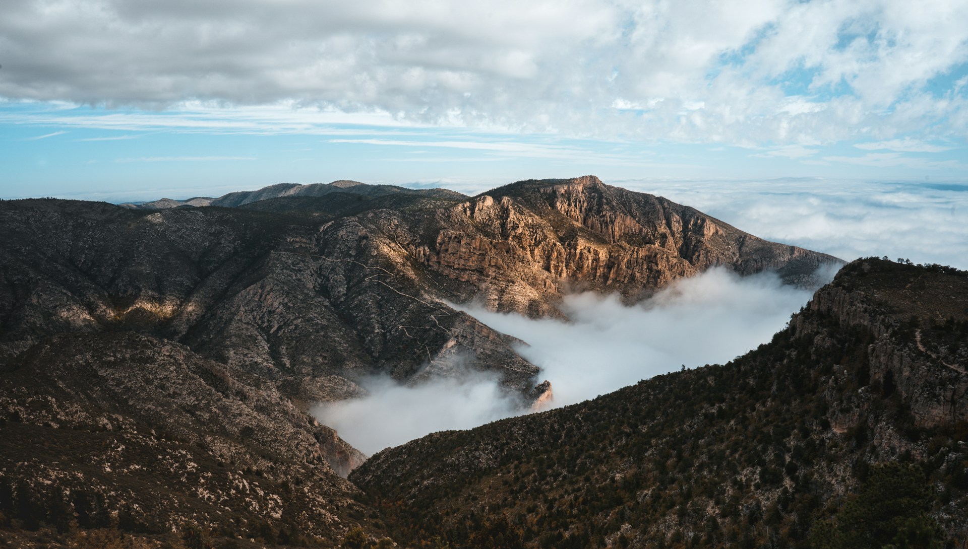 Texas Guadalupe Mountains National Park Photo by Eric Dekker on Unsplash