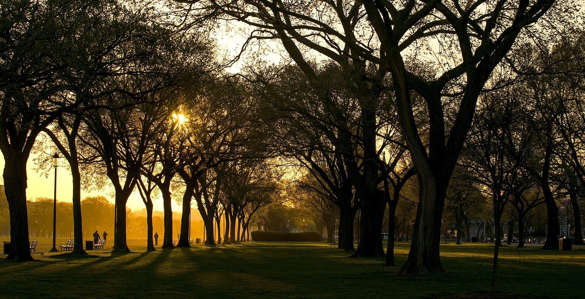 Washington-DC early morning sunrise