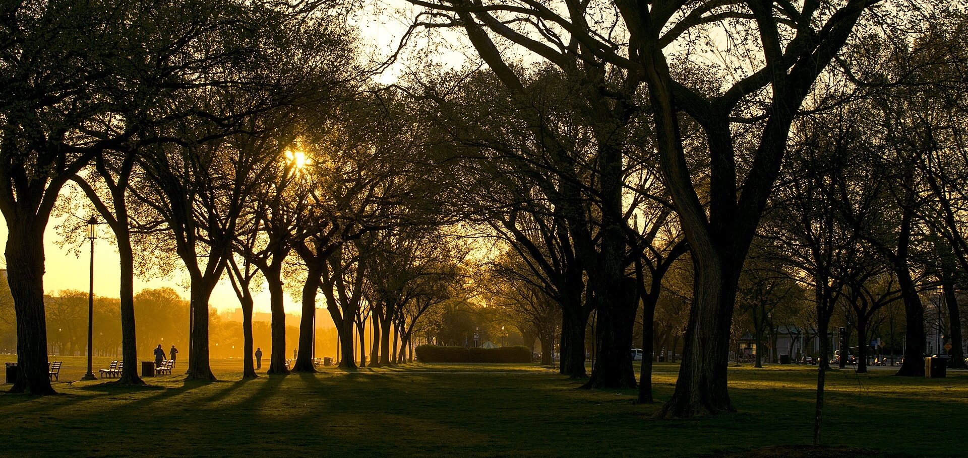 Washington-DC early morning sunrise