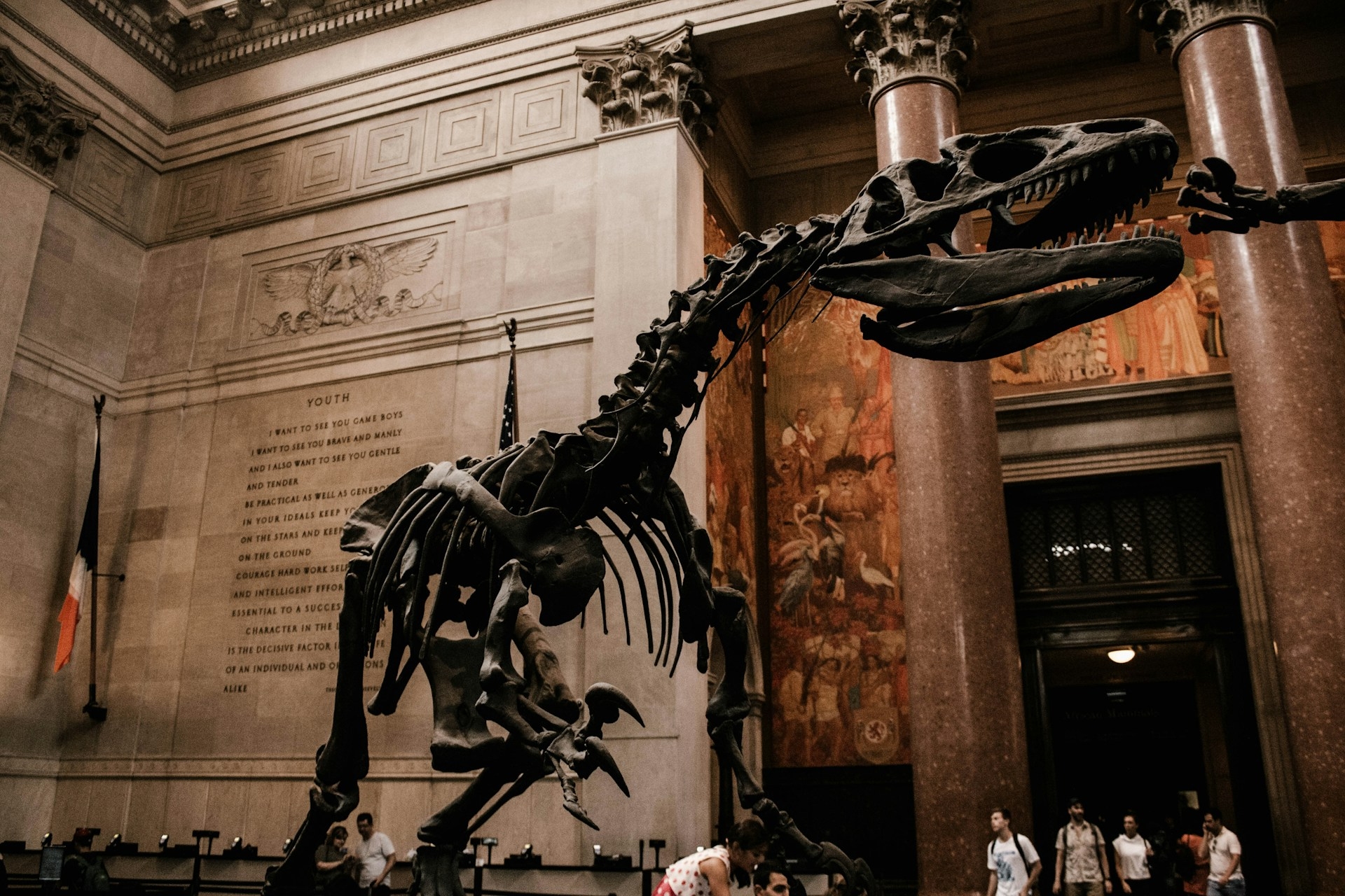 American Museum of Natural History inside view of T-Rex Dinosaur