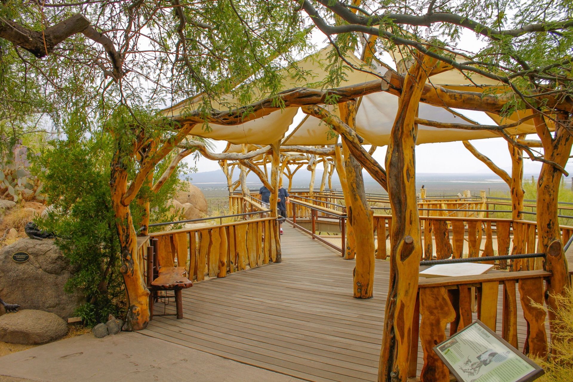 Arizona_Sonoran_Desert_Museum with live animals