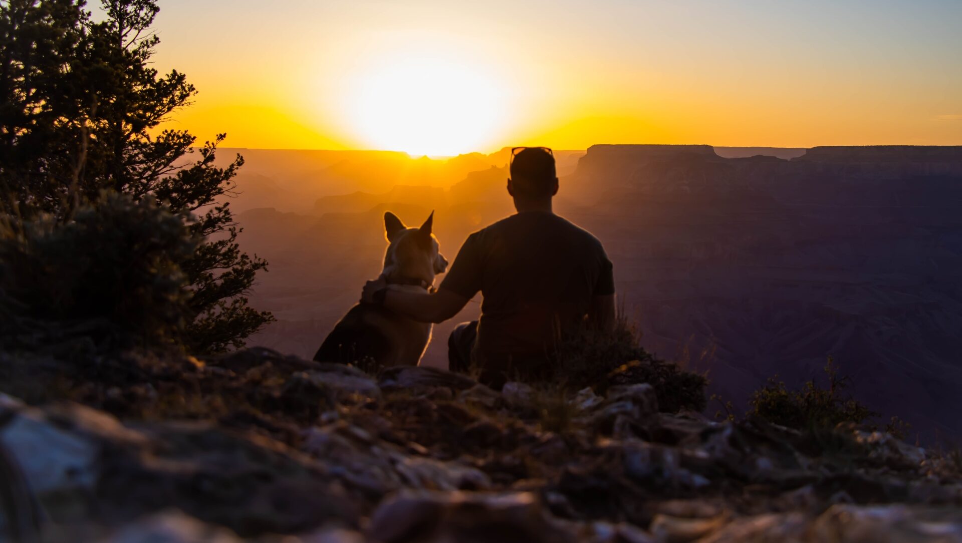 Grand Canyon sunset of man & his dog 2 best friends
