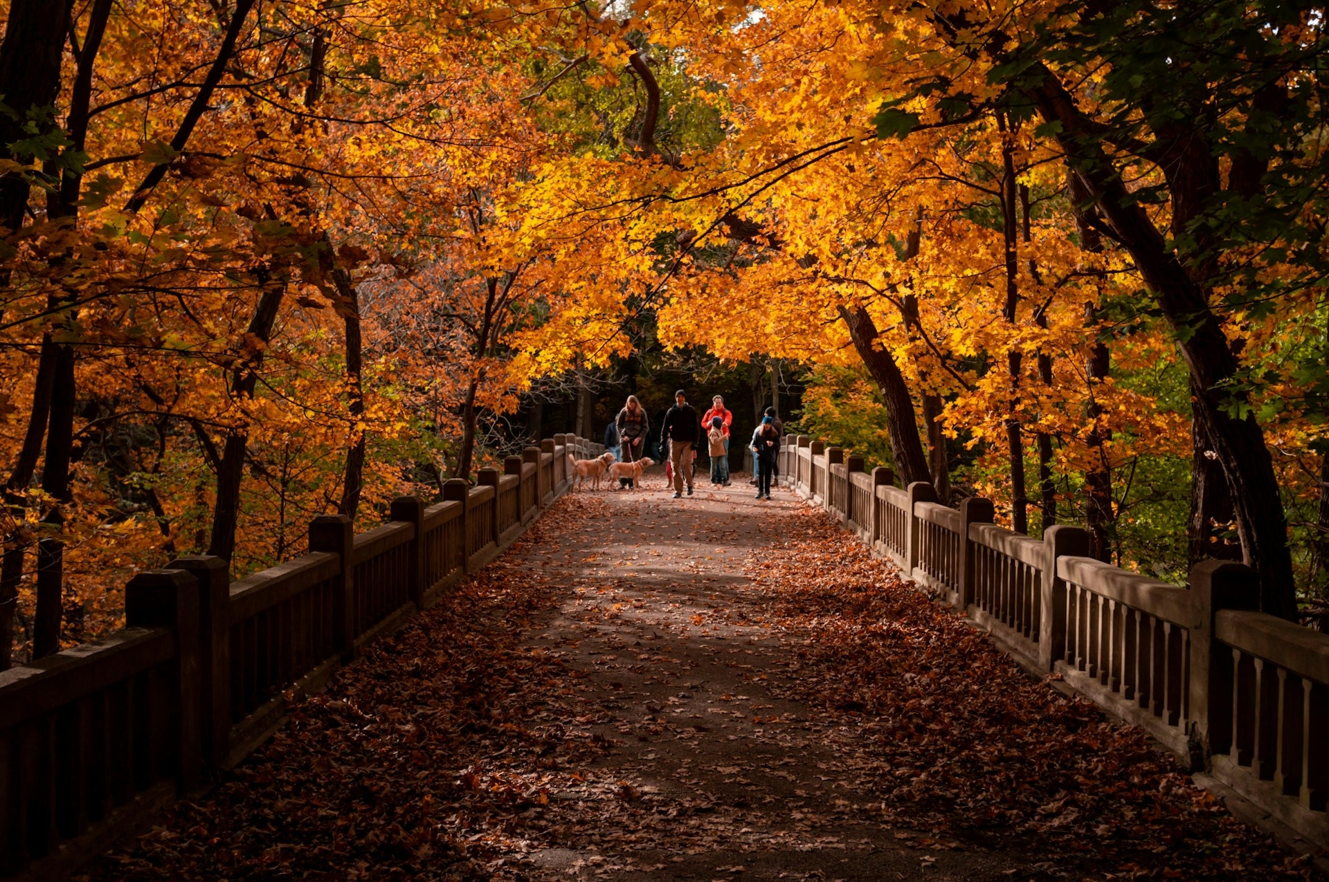 Mathieseen State Park Olgesby IL Image By miguel bandeira unsplash