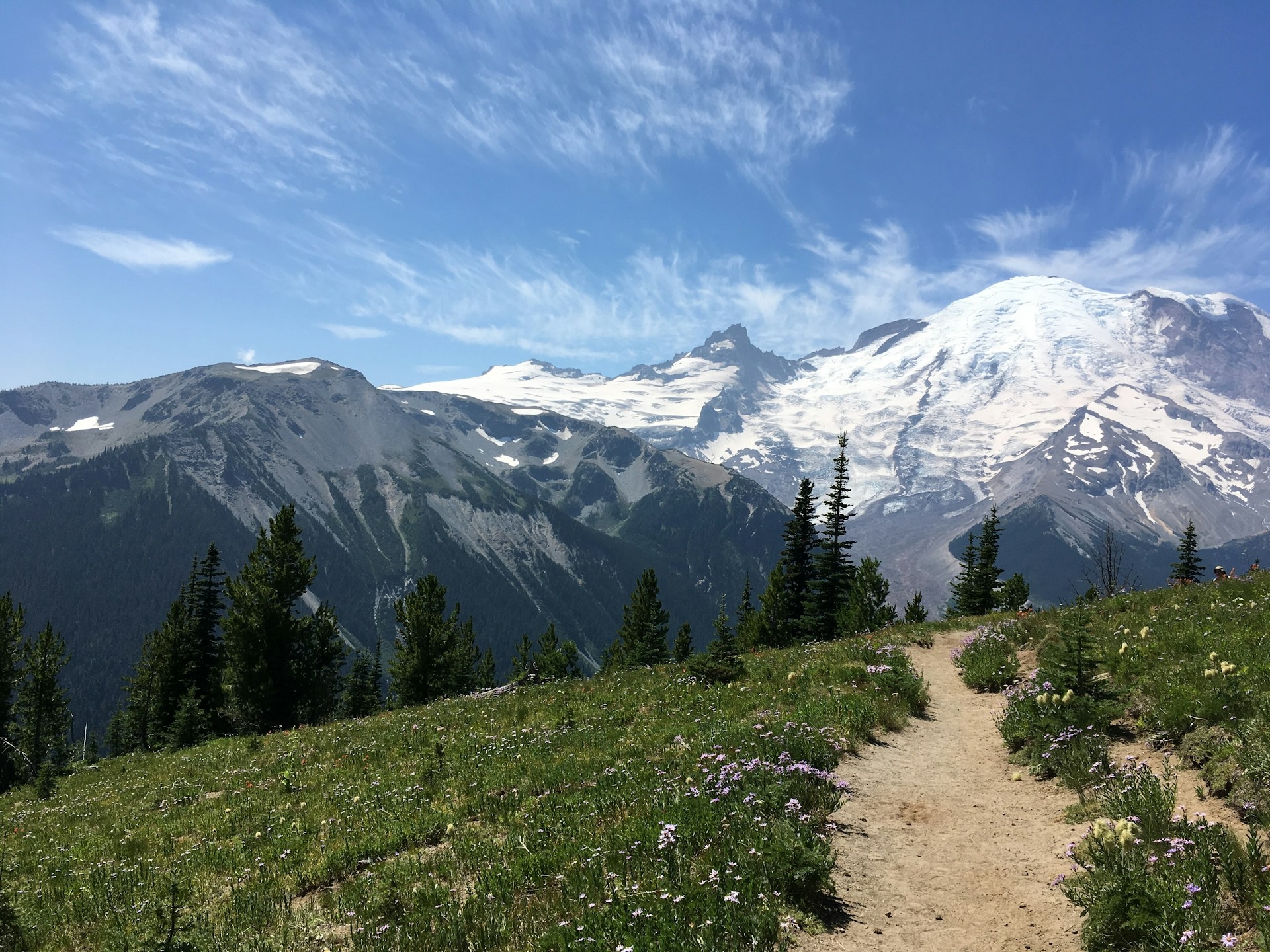 Mt Rainier National Park stunning walks through Mt Rainier park