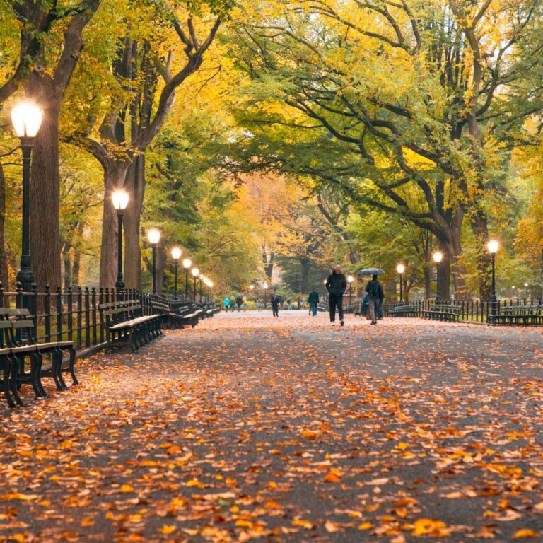 New York_Central Park Mall in fall