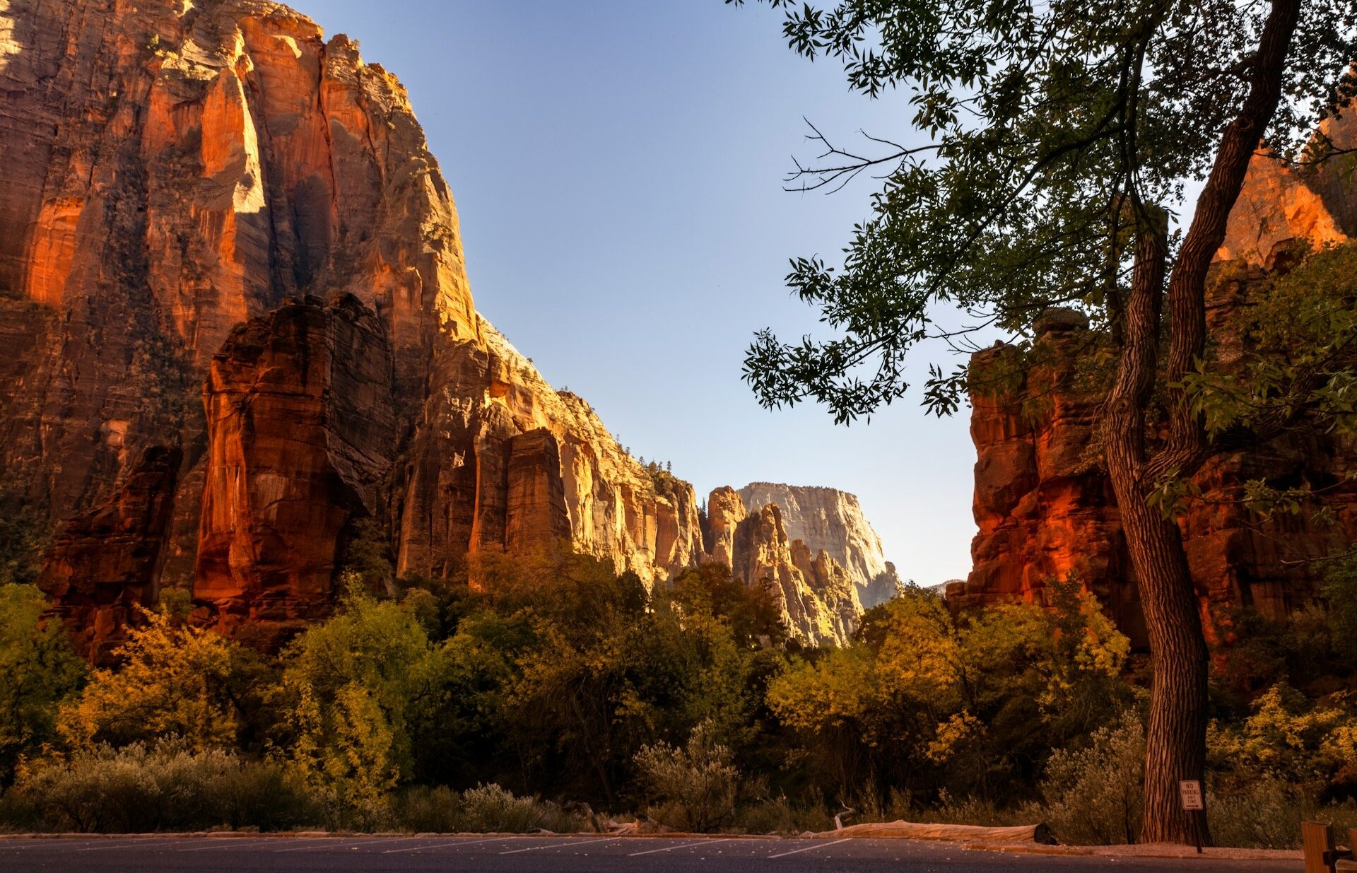 Zion National Park stunning rock with sun shining on it