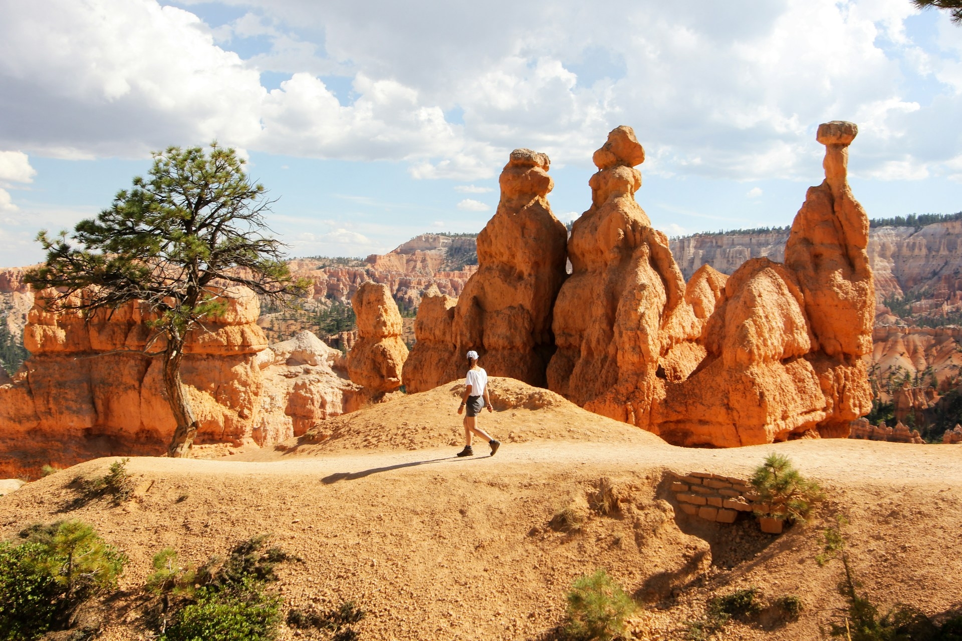A hiker admiring the unique hoodoo rock formations under a clear blue sky at bryce canyon national park.