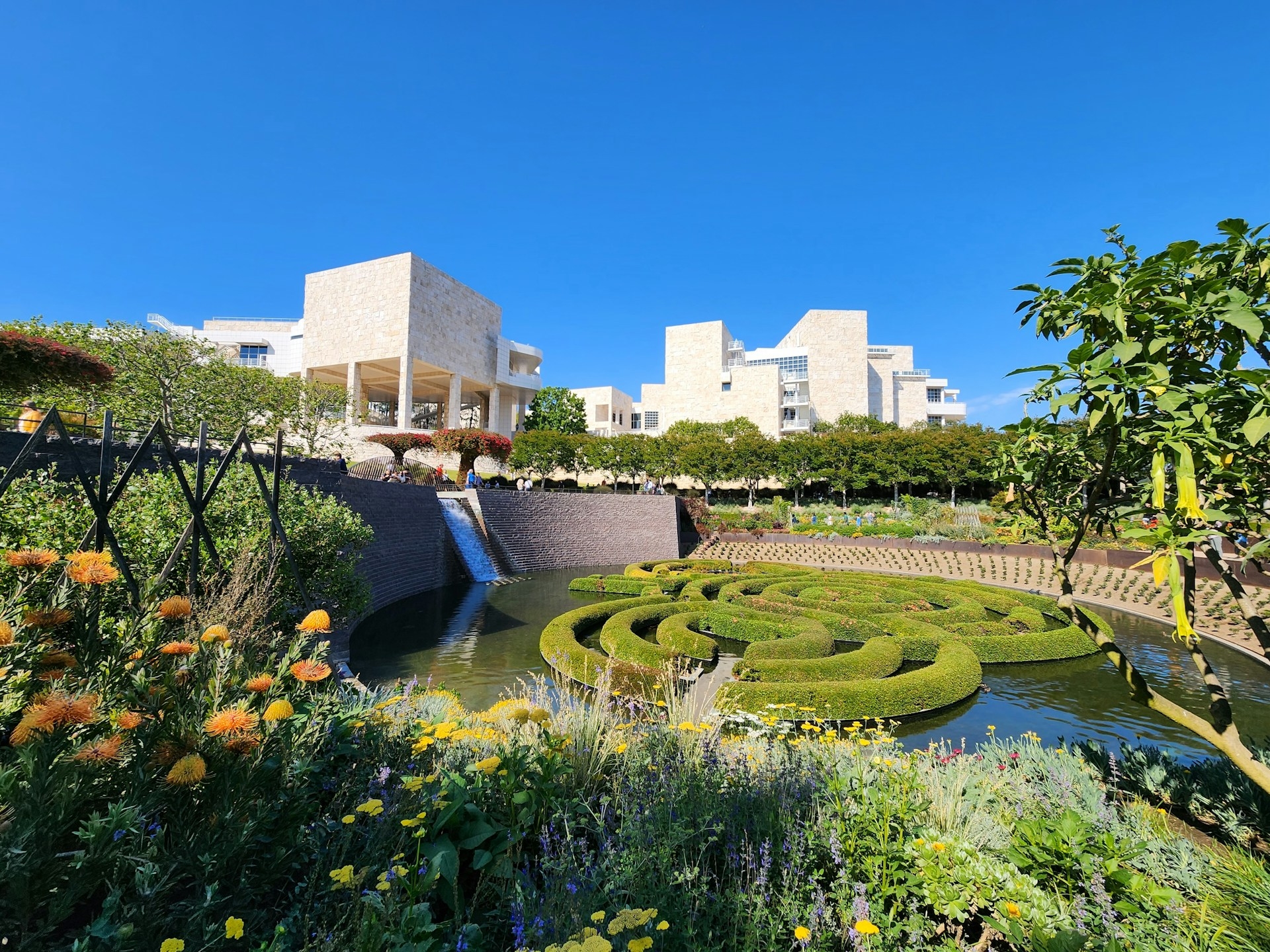 A serene garden with manicured hedges and vibrant flowers in the foreground, with modern buildings featuring clean architectural lines against a clear blue sky in Los Angeles.