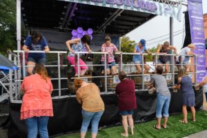 GrapeFest Festival