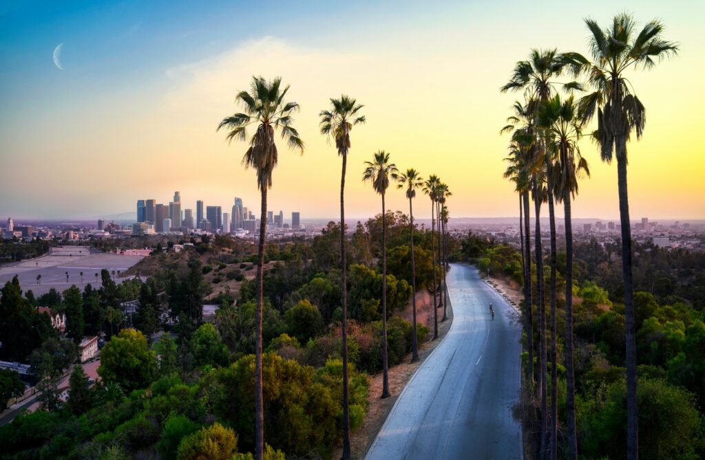 A serene sunset view over a curved road flanked by tall palm trees, with a city skyline in the distance beneath a pastel sky and a crescent moon.