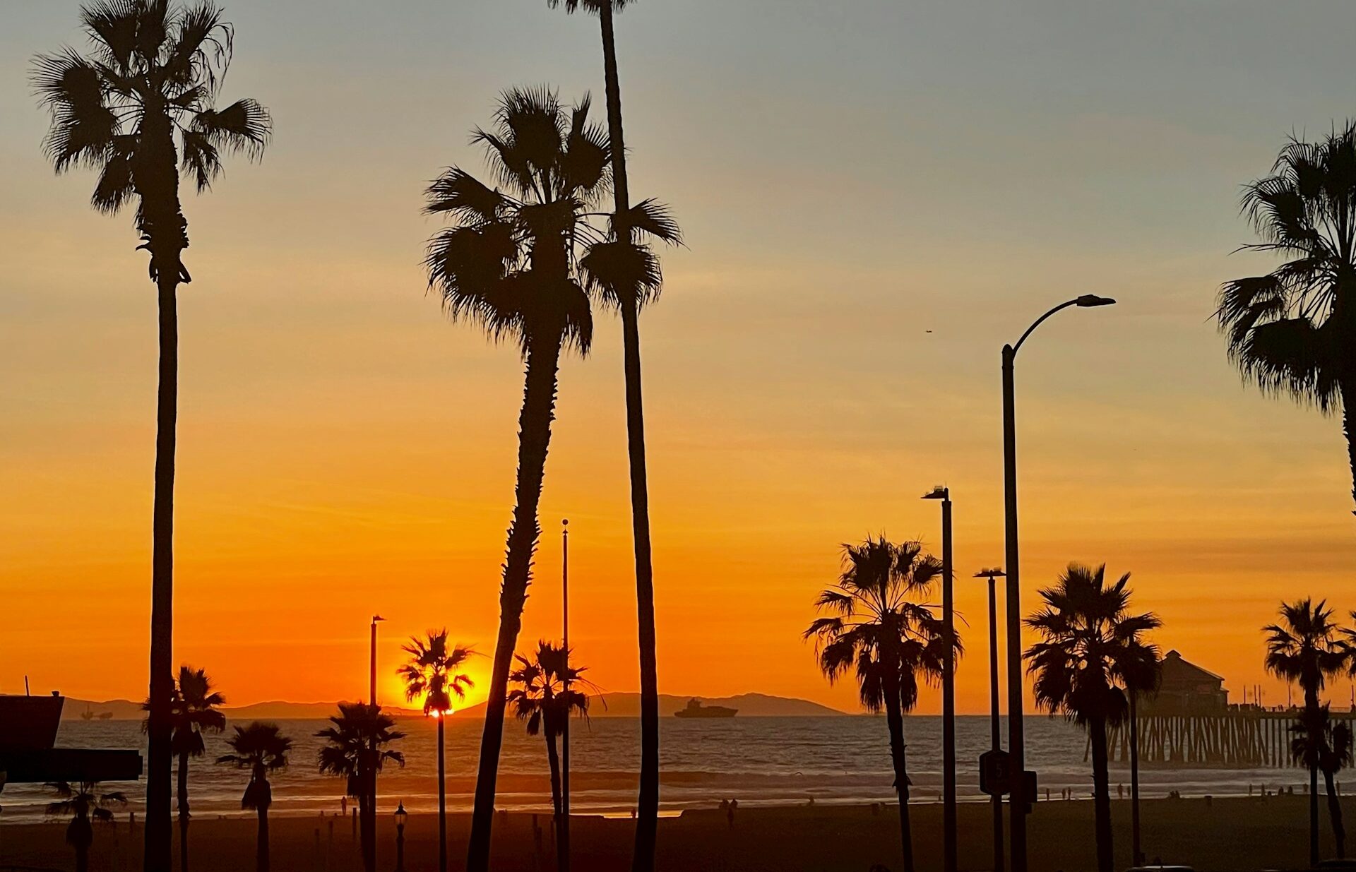 Palm trees at sunset at Huntington Beach CA