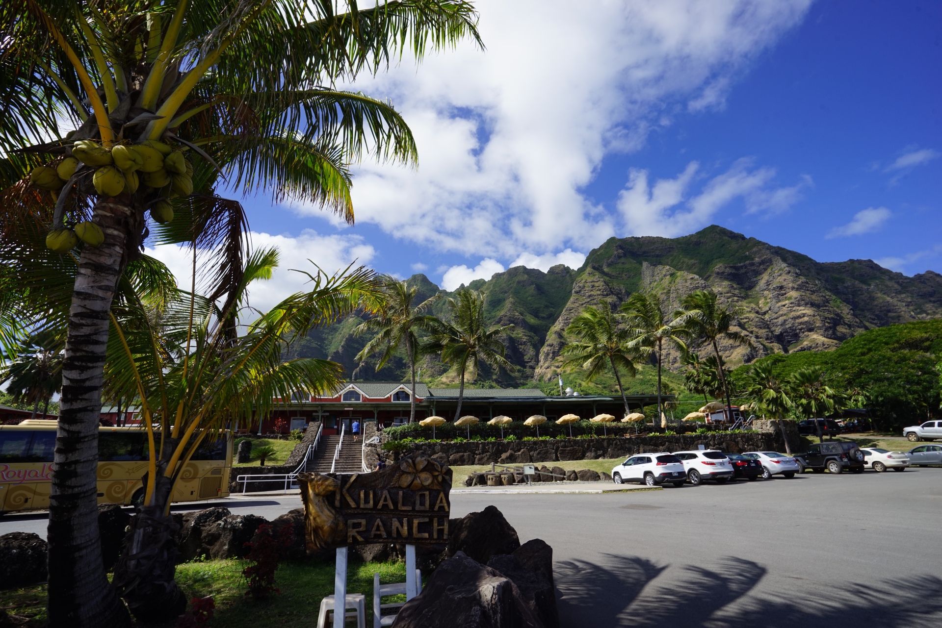 Tropical getaway: palm trees and rugged mountains backdrop a sunny ranch entrance, inviting adventure under the clear blue skies.