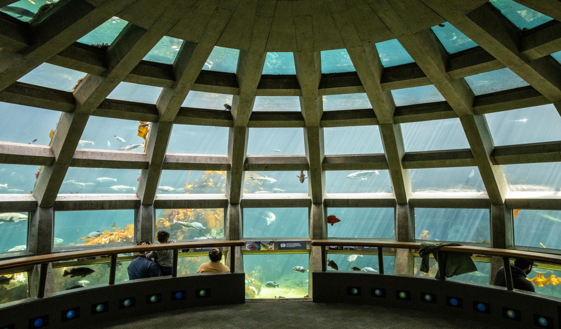 Dome aquarium Seattle Image By Visit Seattle