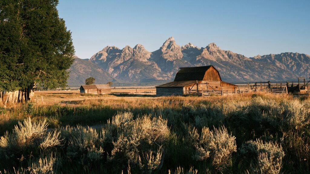 Grand Teton Jackson Hole in summer with the barn in the grasslands and the mountains in the background