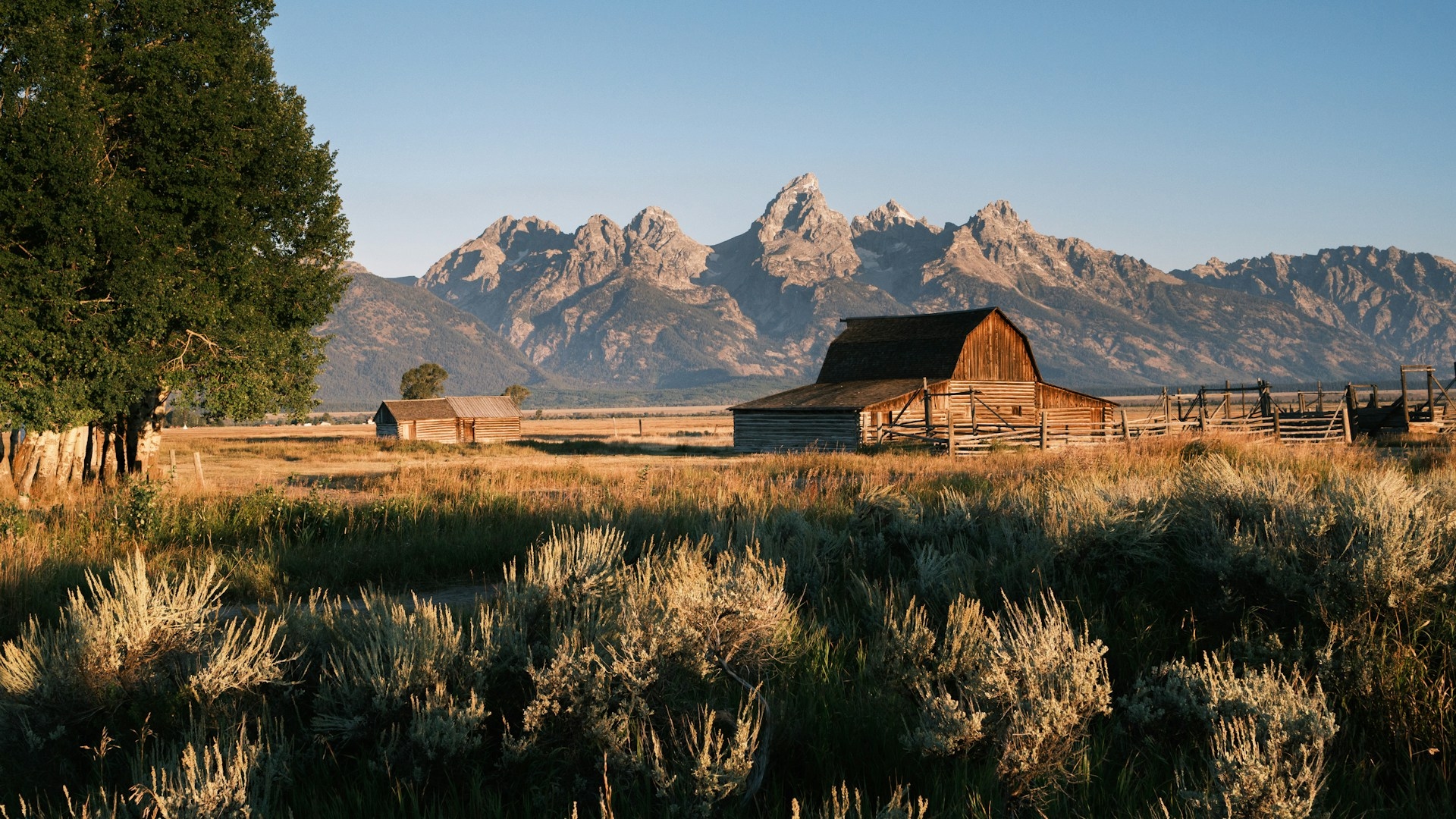 Grand Teton Jackson Hole in summer with the barn in the grasslands and the mountains in the background