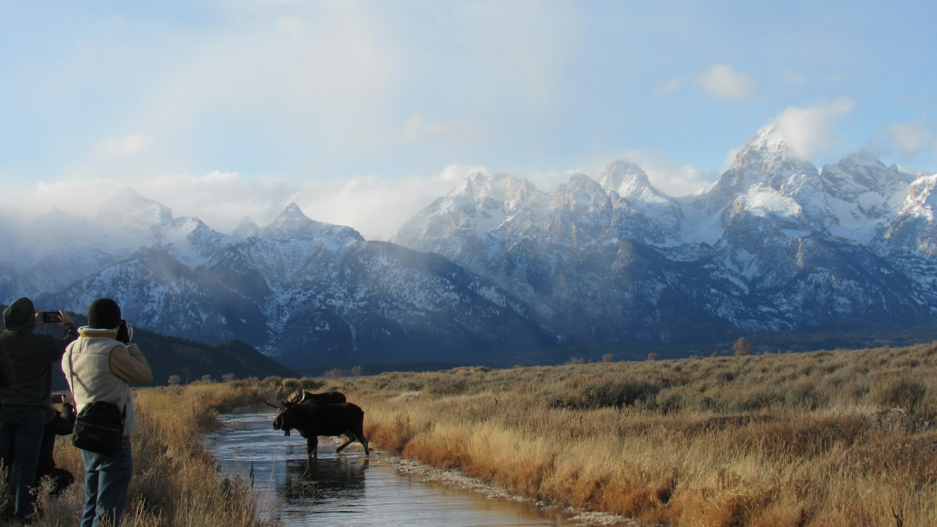 Grand Tetons in Jackson Hole Wyoming with people taking photos of the moose in the river with the mountains in the background