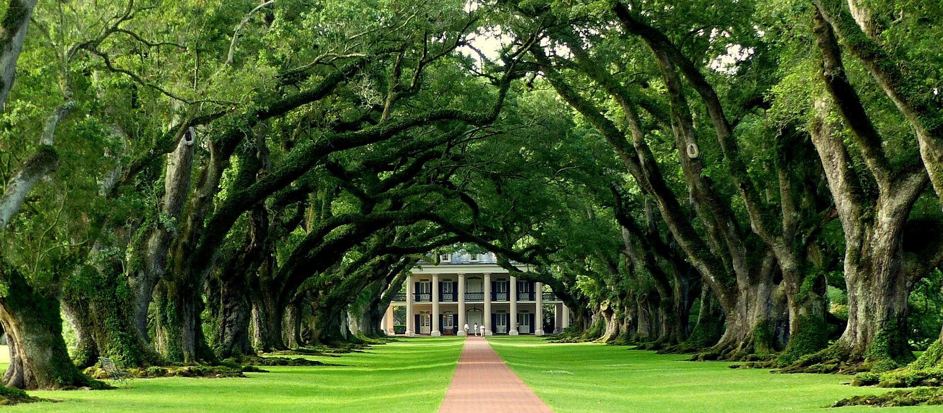 Historical Homes, Oak Alley Plantation Louisiana with green grasses and towering trees