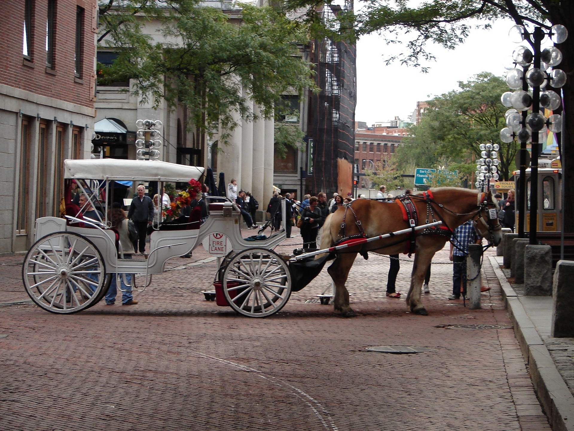Horse & cart Boston Massachusetts with the white carriage on the stone streets of Boston