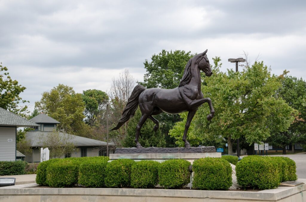 Kentucky state of everything horses