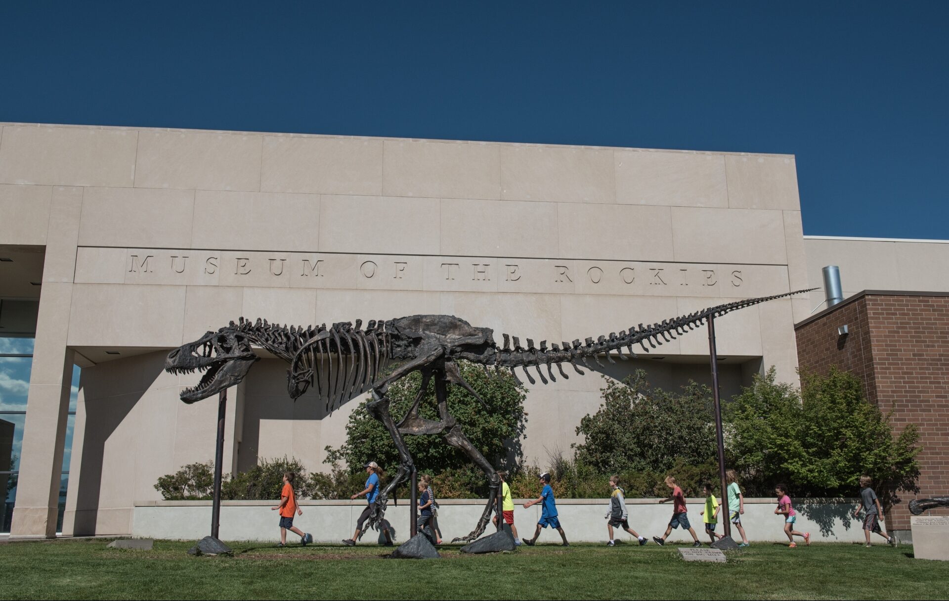 Museum of the Rockies with giant dinosaur with children walking past to show the size of the beast