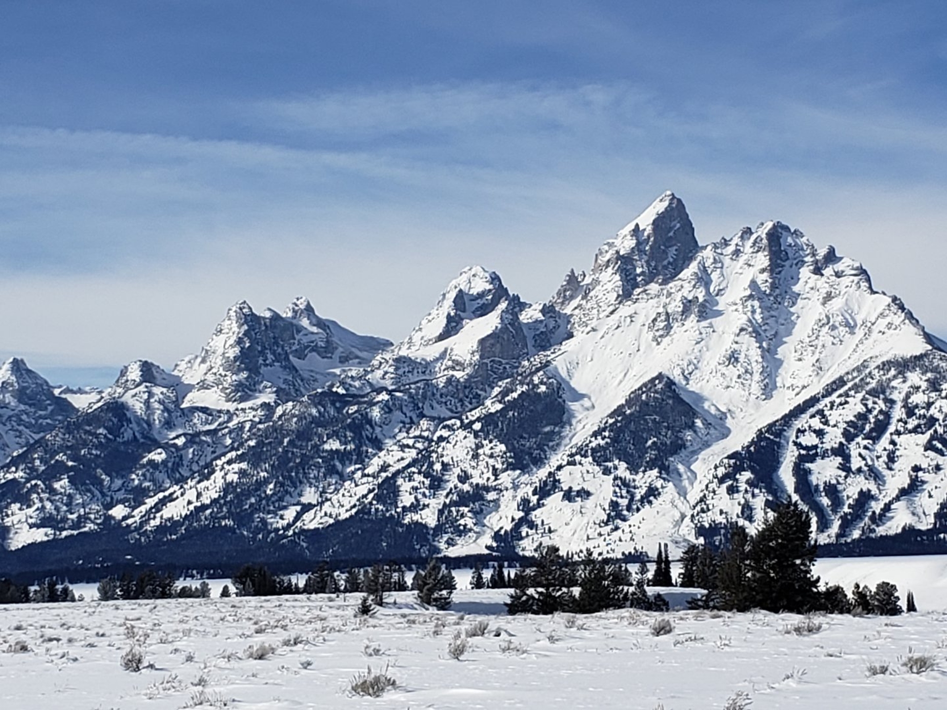 National Elk Refuge