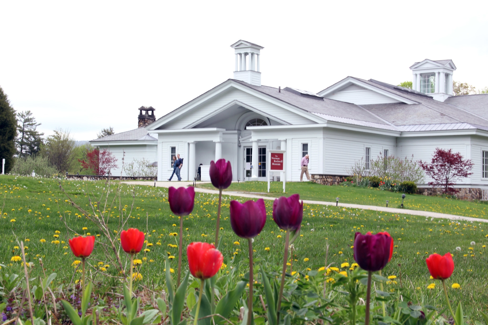 Norman Rockwell Museum with tulips in the forground