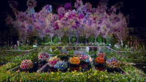Entrance Garden, Edges and Reflections at the Philadelphia Flower Show