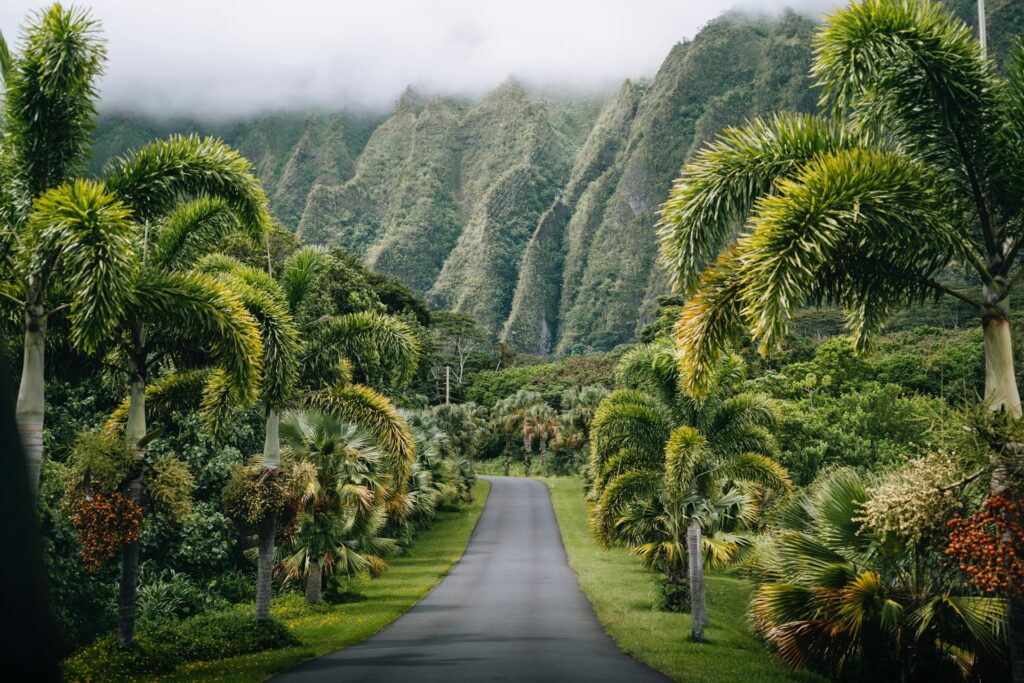 Road Trip Oahu HI where the Jurassic park movies were filmed
