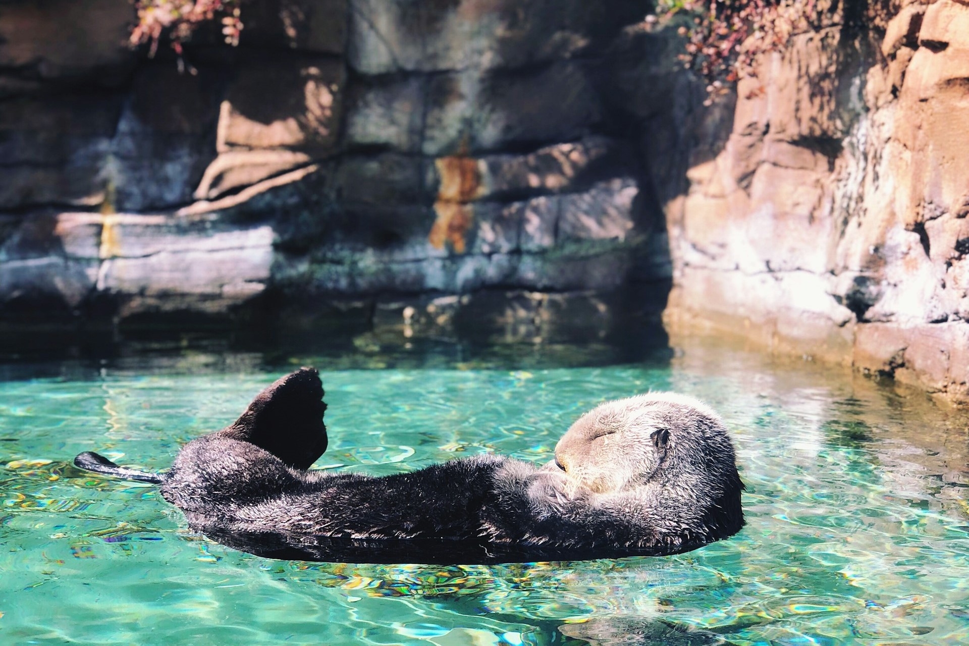 Seattle Woodland Park Zoo WA Image By abigail lynn unsplash