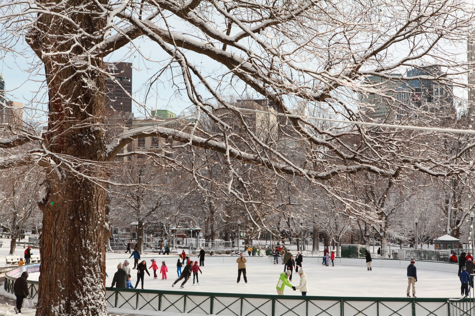 Skating on the Frog Pond, Boston Common in winter with stunning white beauty of the snow on the trees