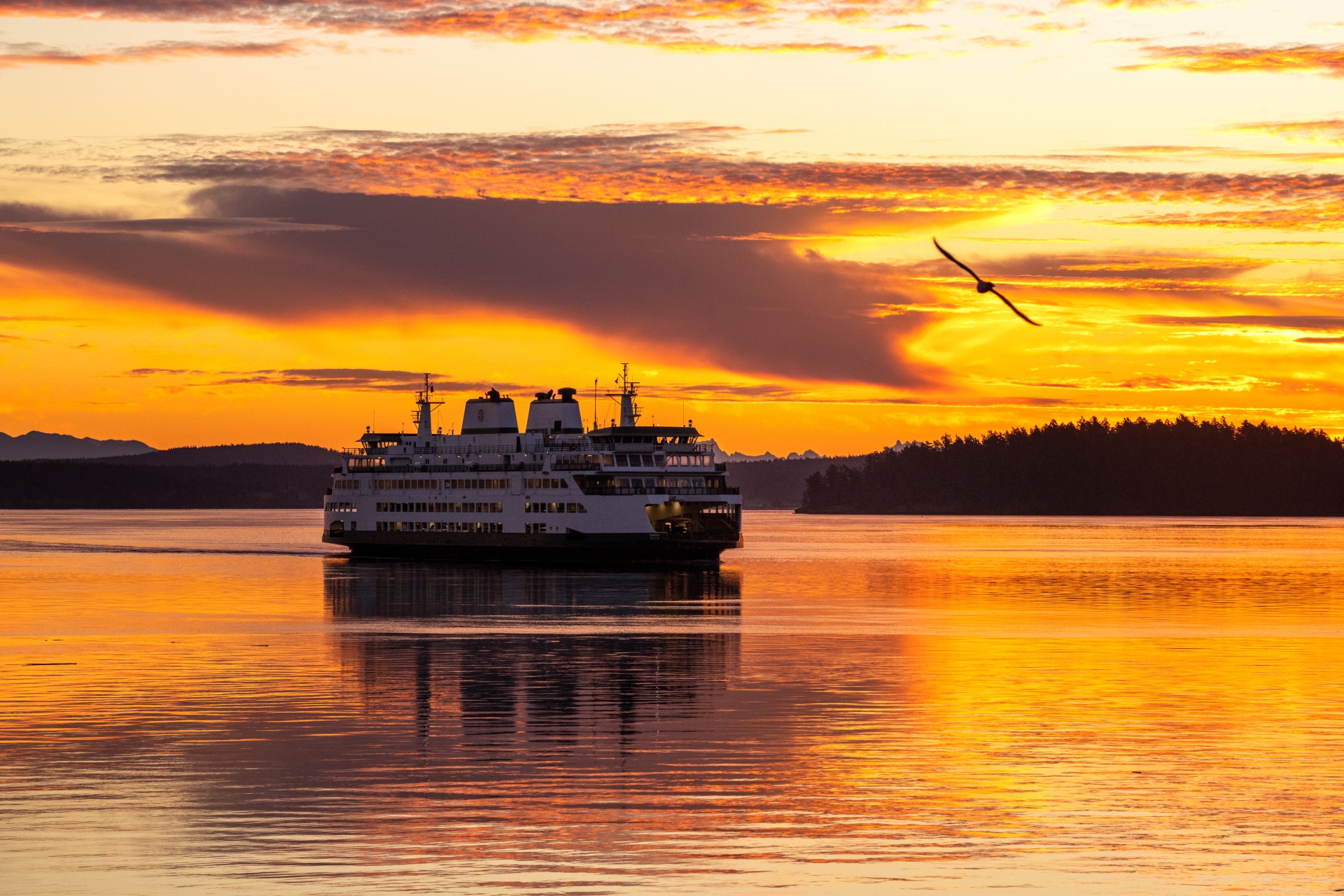 Sunset Ferry by Jason Hummel Photography