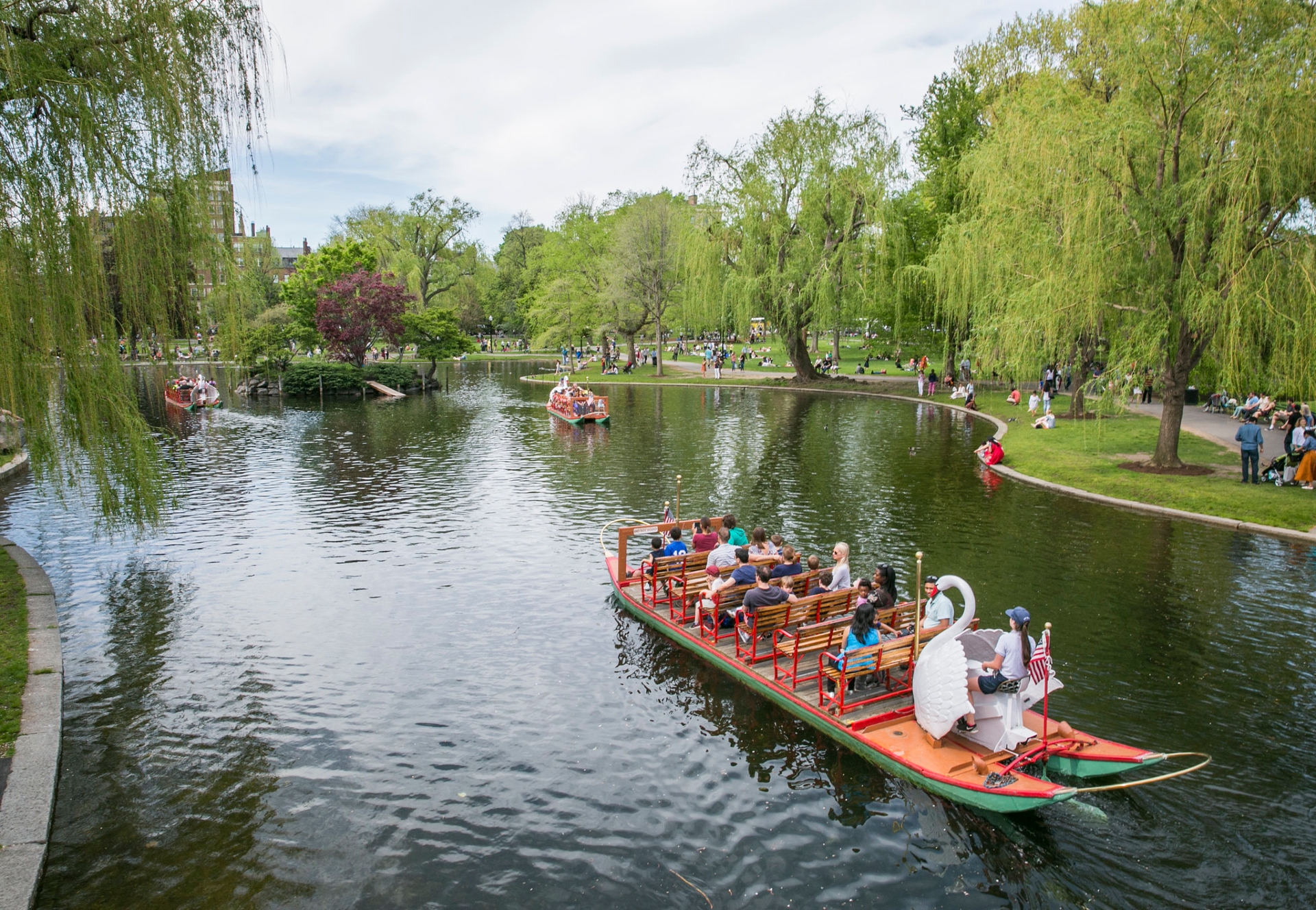 Swan boats in Boston Public Garden famous park in Boston in summer