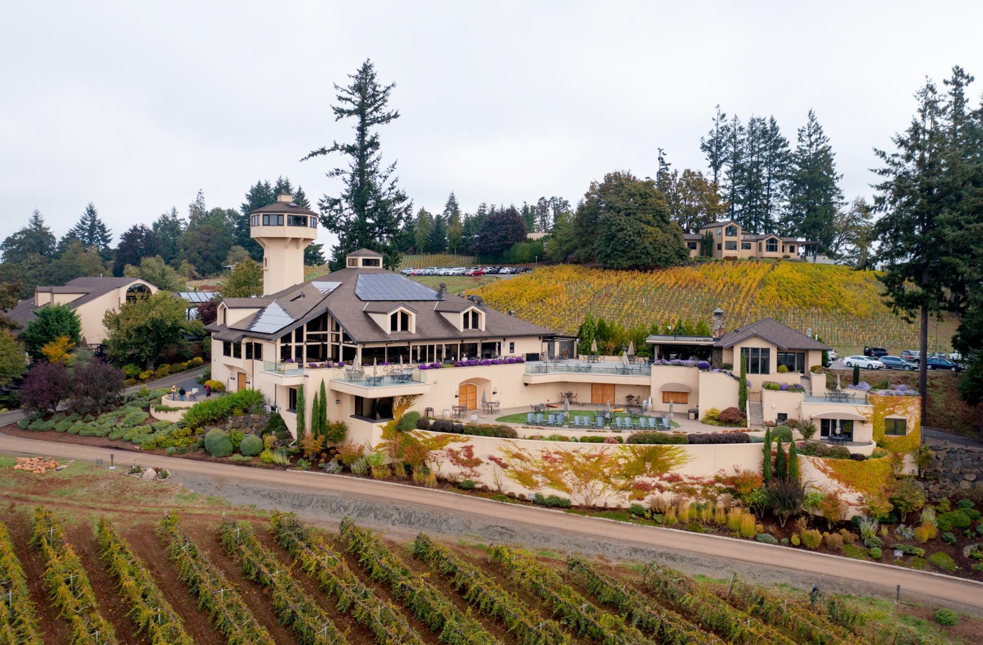 Willamette Valley Vineyards the top vineyard in Oregon