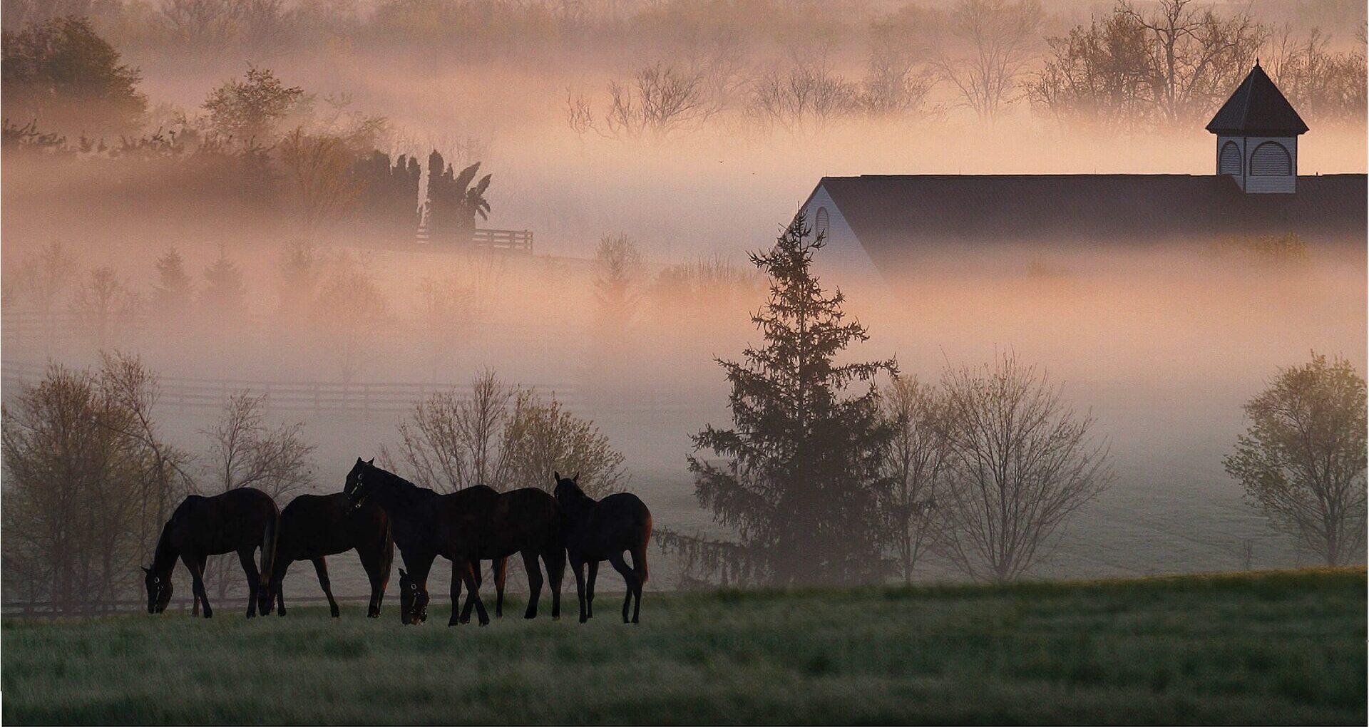 lexington horse farm 1 Image By Team Kentucky Tourism e1712229871449