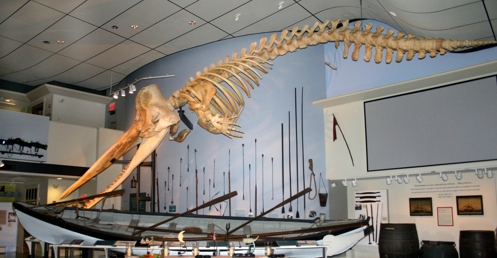 Nantucket Whaling Museum showing the ancient skeleton of a whale bones