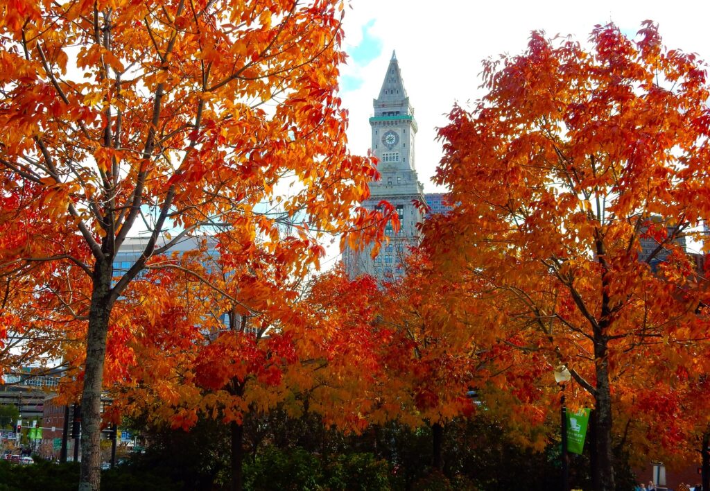 Boston in the fall season with the bright orange colours of the trees with the city tower peaking through the middle