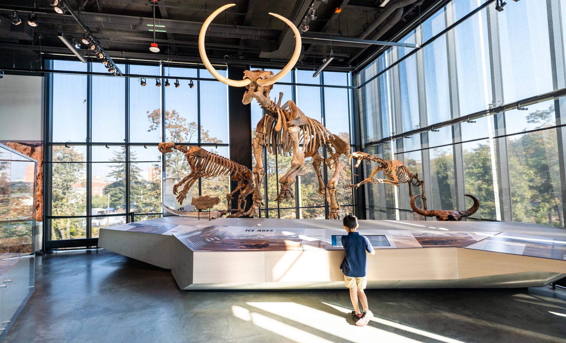 Burke Museum with one the many exhibits in Seattle Washington State