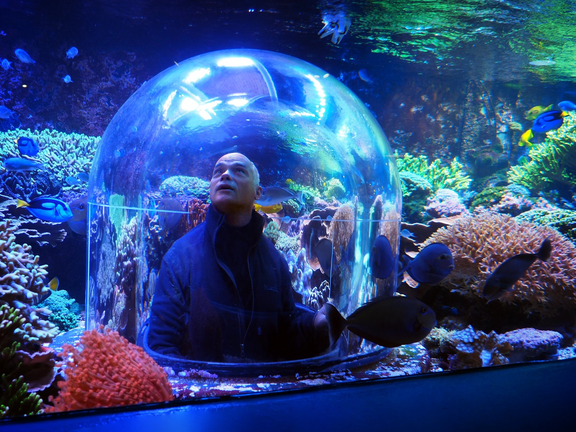 Butterfly House & Aquarium Sioux Falls South Dakota with a man looking through the viewing dome