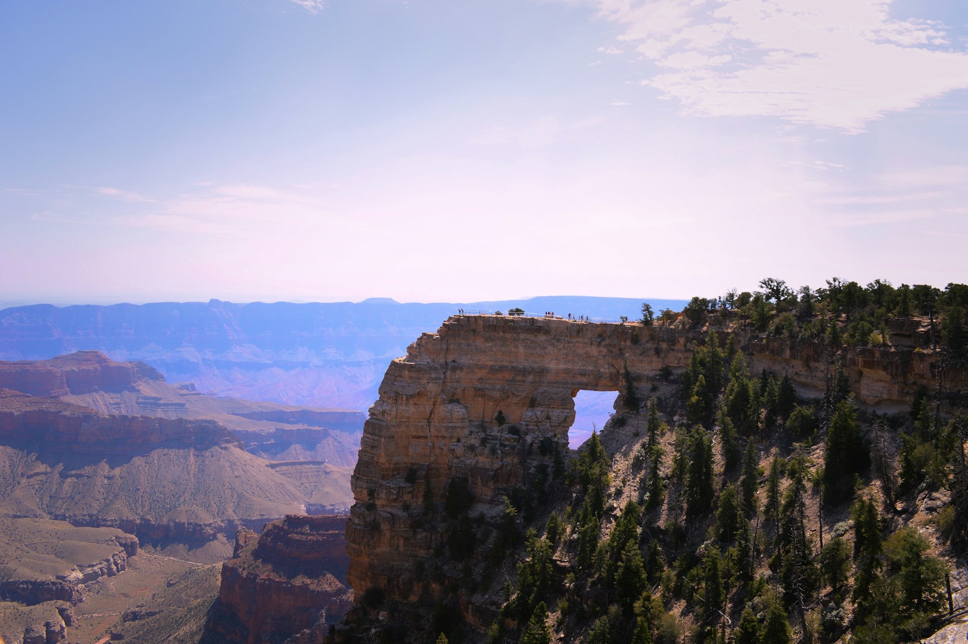 Grand Canyon North Rim showing the view point high above the canyon