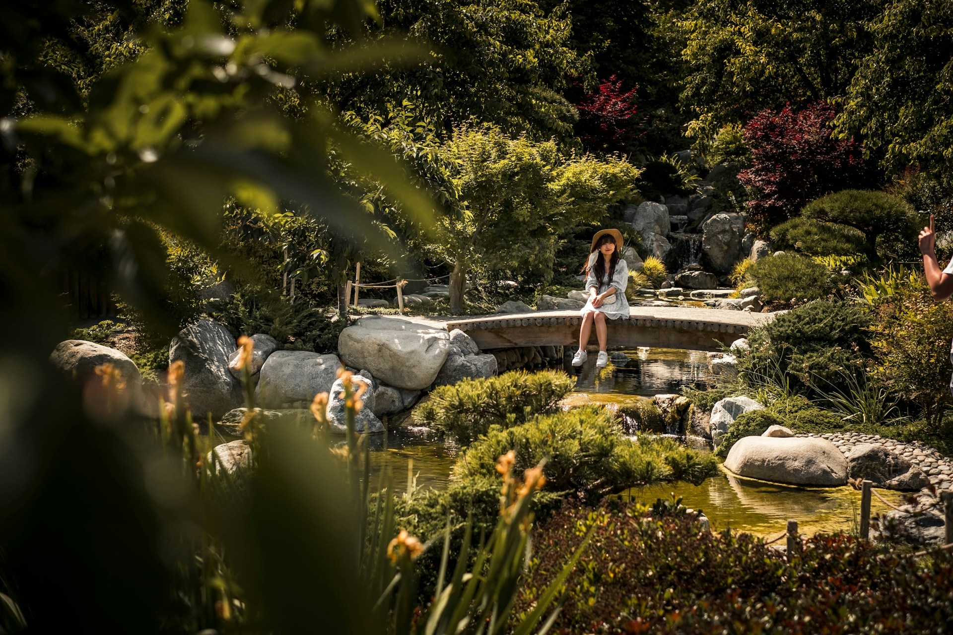 Japanese Gardens San Diego CA Imag By lance anderson unsplash