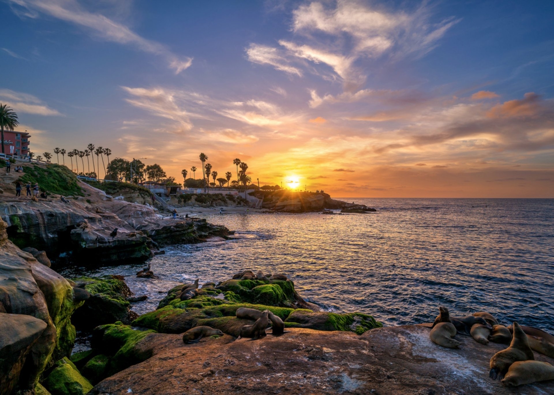 La Jolla Cove San Diego Image By San Diego Tourism Authority