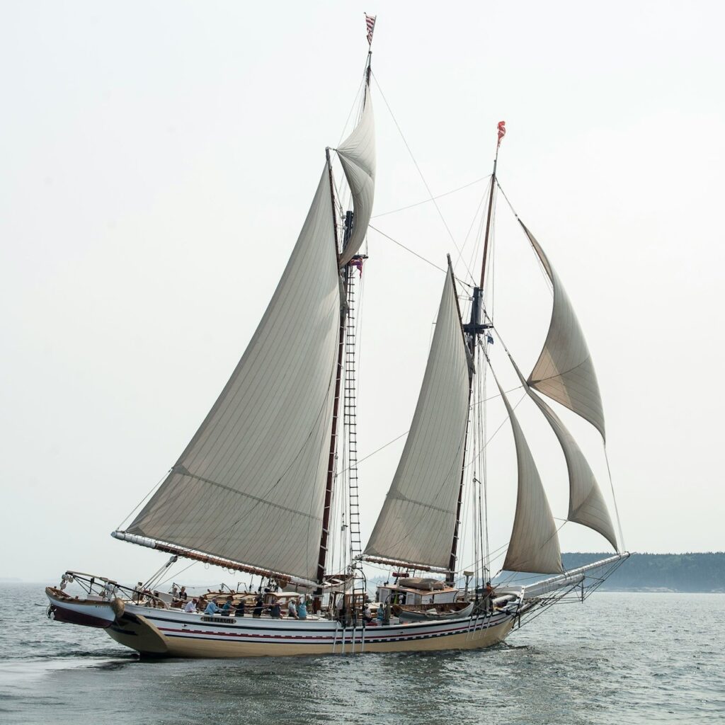 Maine Schooner Race in Maine