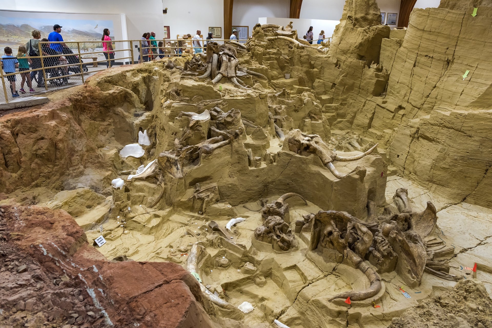 Mammoth Site South Dakota an archaeological site